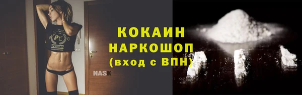 шишки Тайга