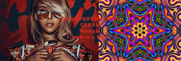 тгк Майский